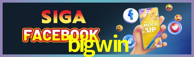 bet_bigwin.com